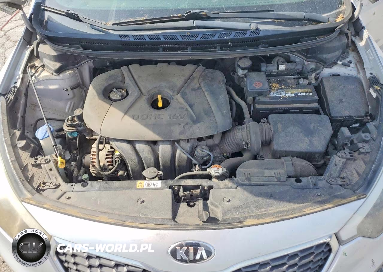 2015 Kia Forte Lx VIN:KNAFK4A61F5371806 - 11