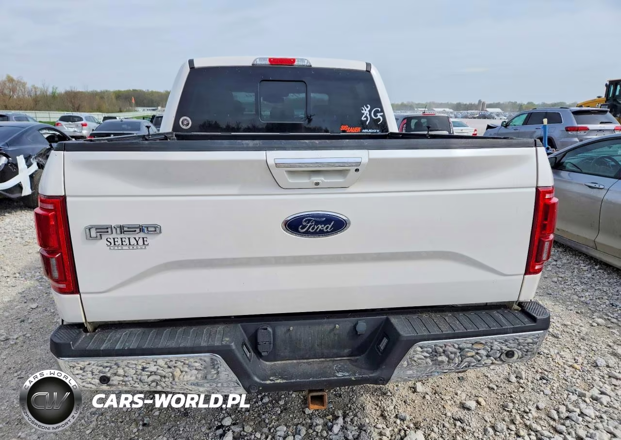 2015 Ford F150 Supercrew VIN:1FTEW1EG7FFA22941 - 6