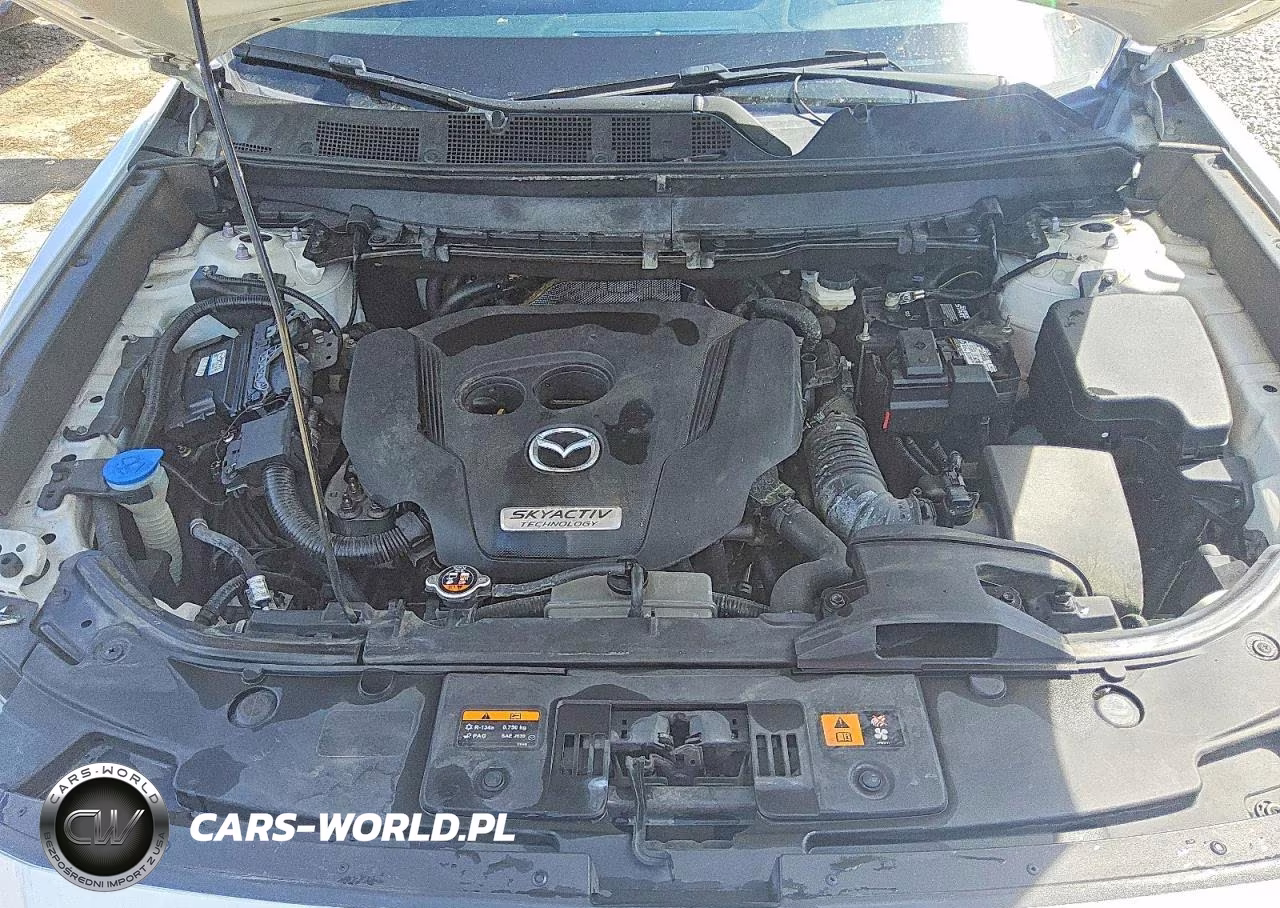 2018 Mazda Cx-9 Signature VIN:JM3TCBEY7J0216225 - 12