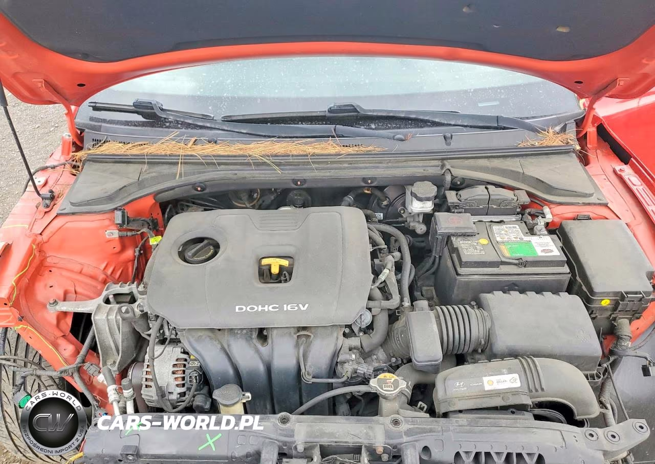 2019 Hyundai Veloster 2.0L VIN:KMHTG6AF7KU018355 - 11
