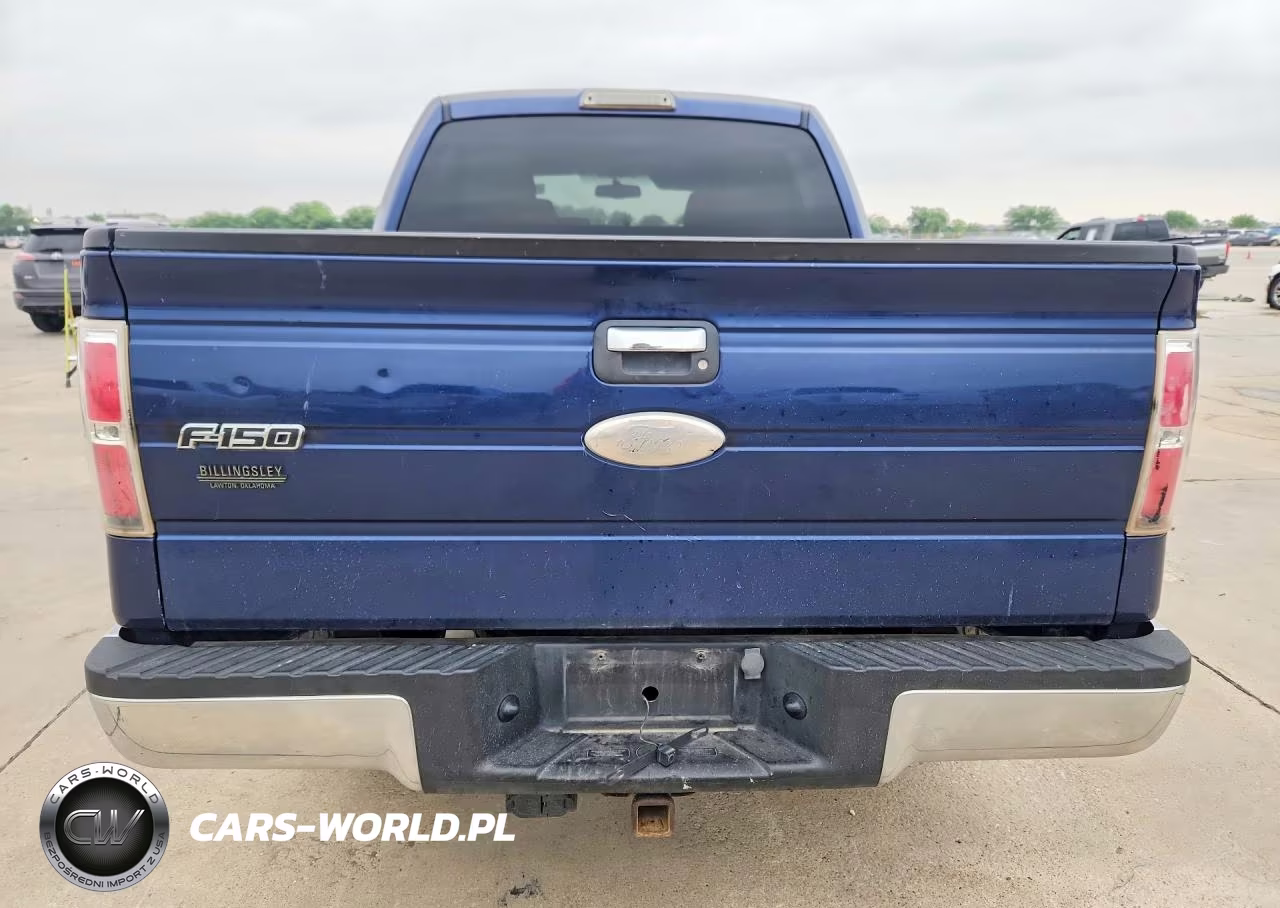 2010 Ford F150 Supercrew VIN:1FTEW1C88AKA22524 - 6