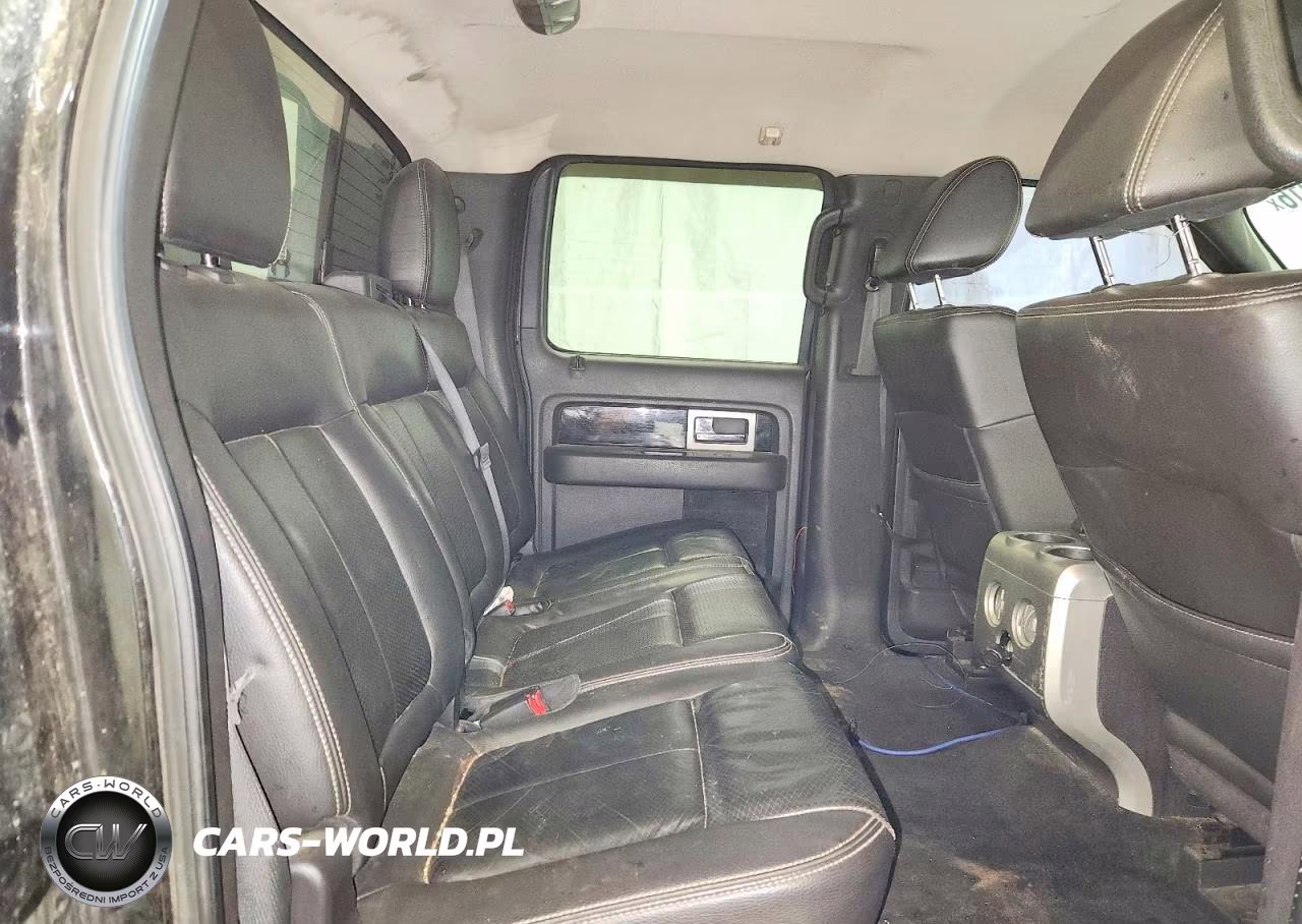 2010 Ford F150 Supercrew VIN:1FTFW1EV3AFB41291 - 10