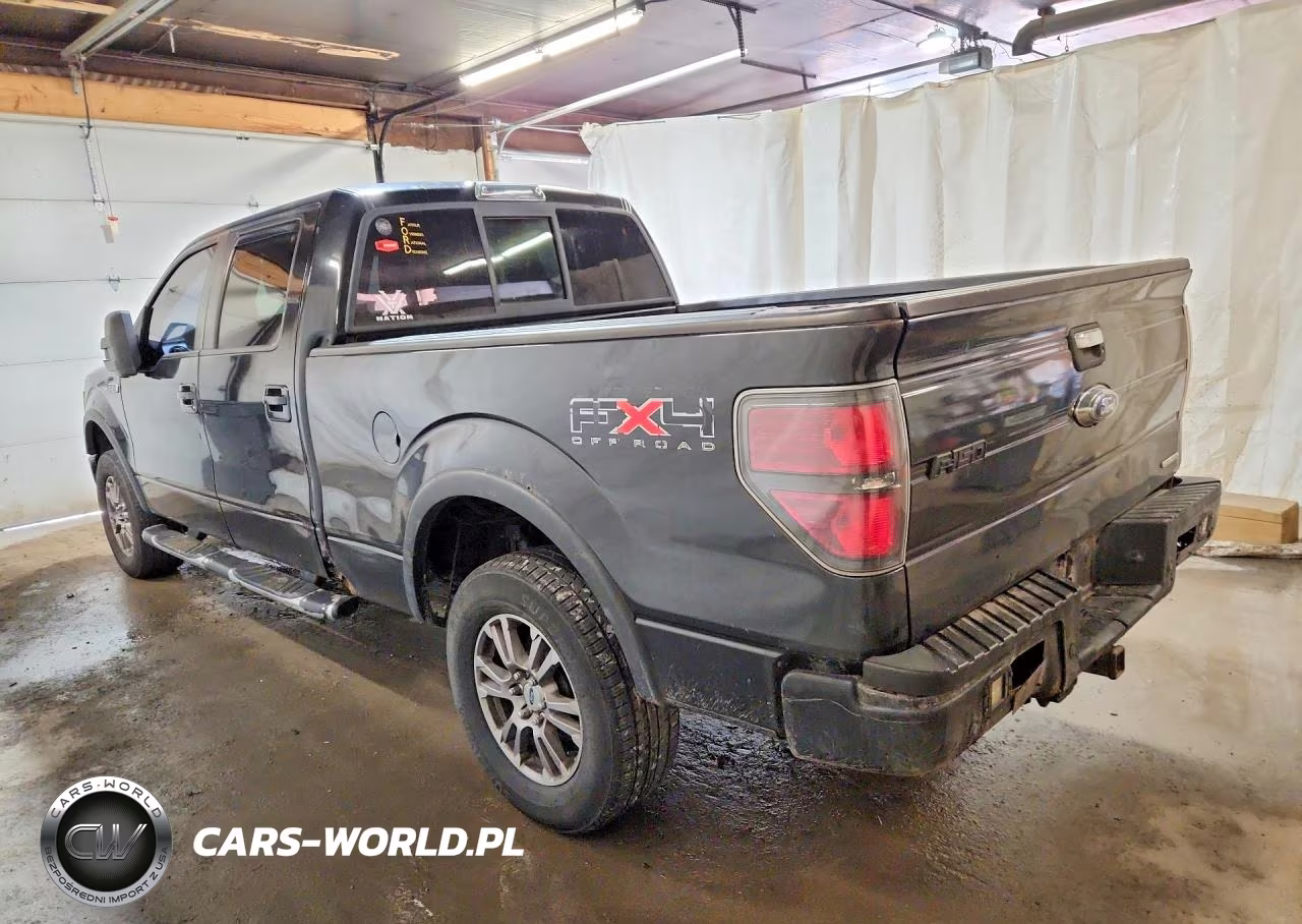 2010 Ford F150 Supercrew VIN:1FTFW1EV3AFB41291 - 2