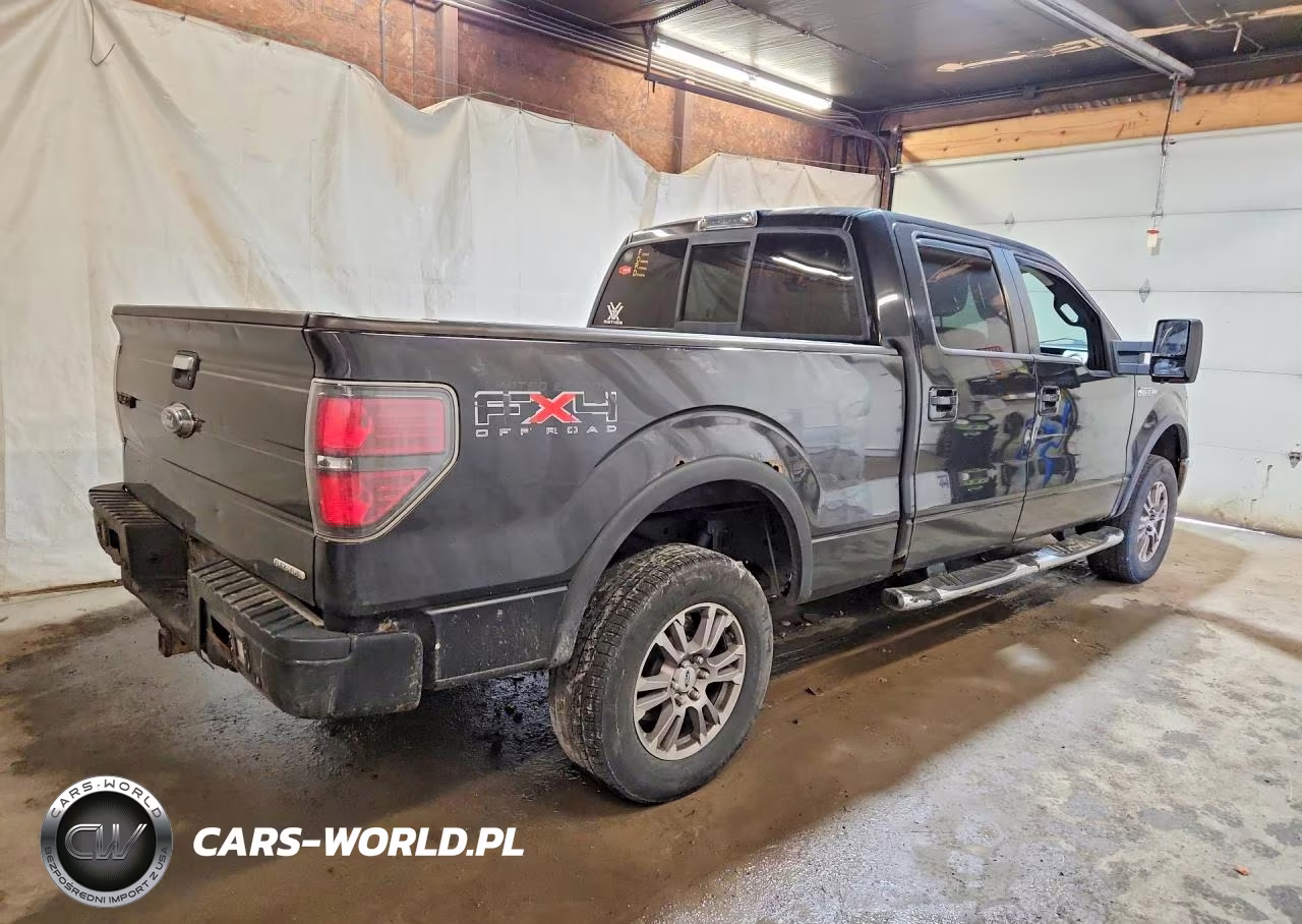 2010 Ford F150 Supercrew VIN:1FTFW1EV3AFB41291 - 3