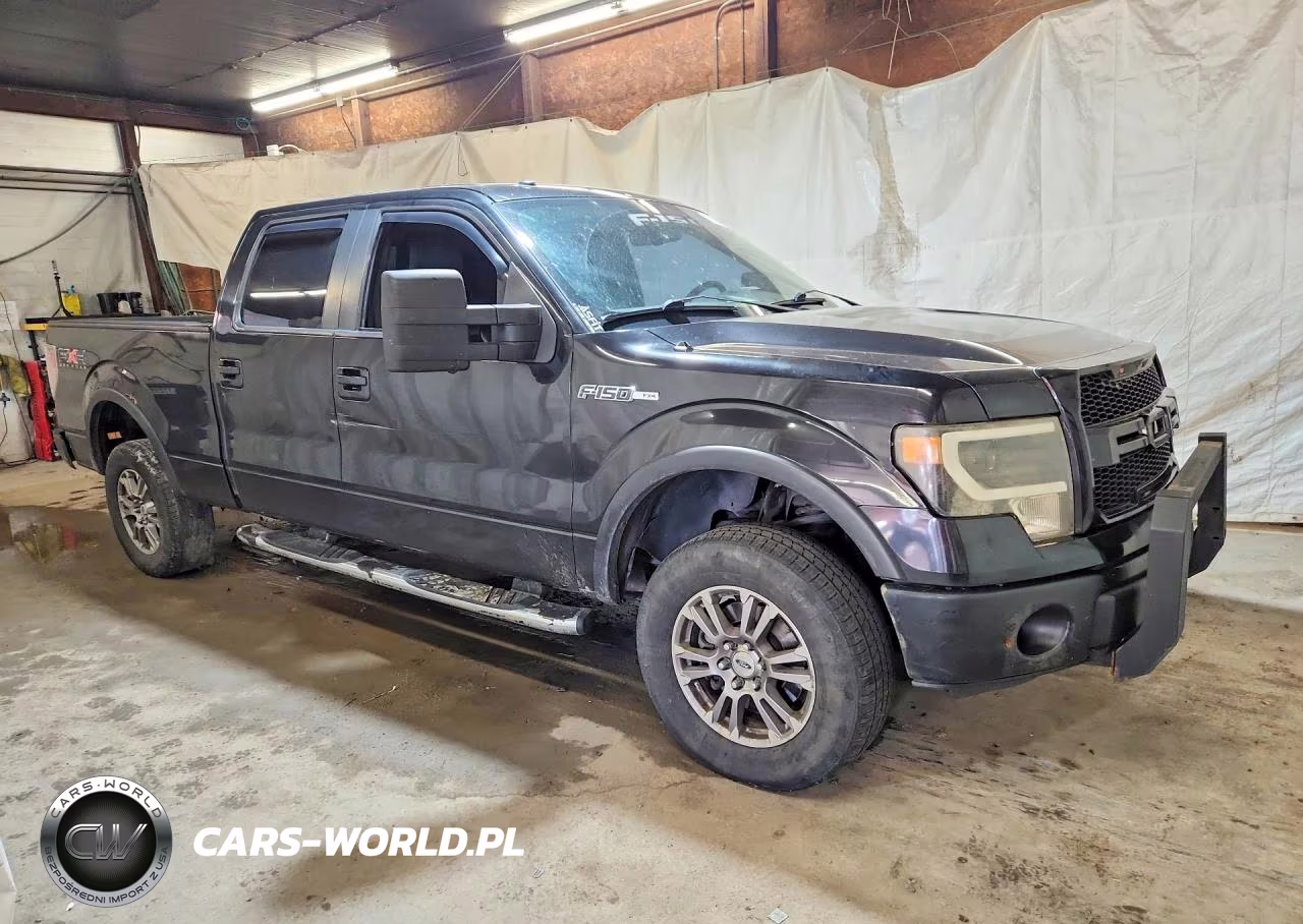 2010 Ford F150 Supercrew VIN:1FTFW1EV3AFB41291 - 4