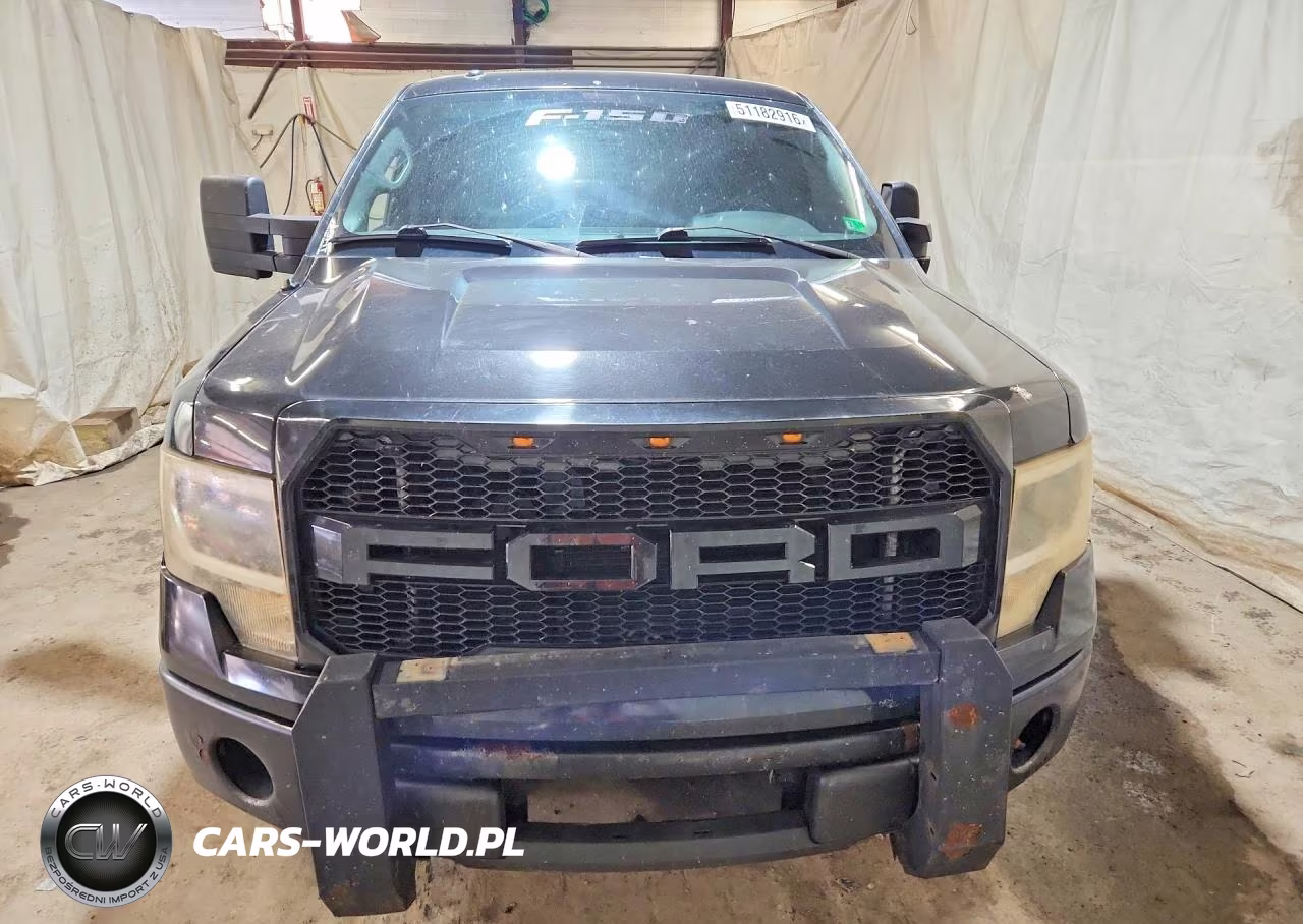 2010 Ford F150 Supercrew VIN:1FTFW1EV3AFB41291 - 5