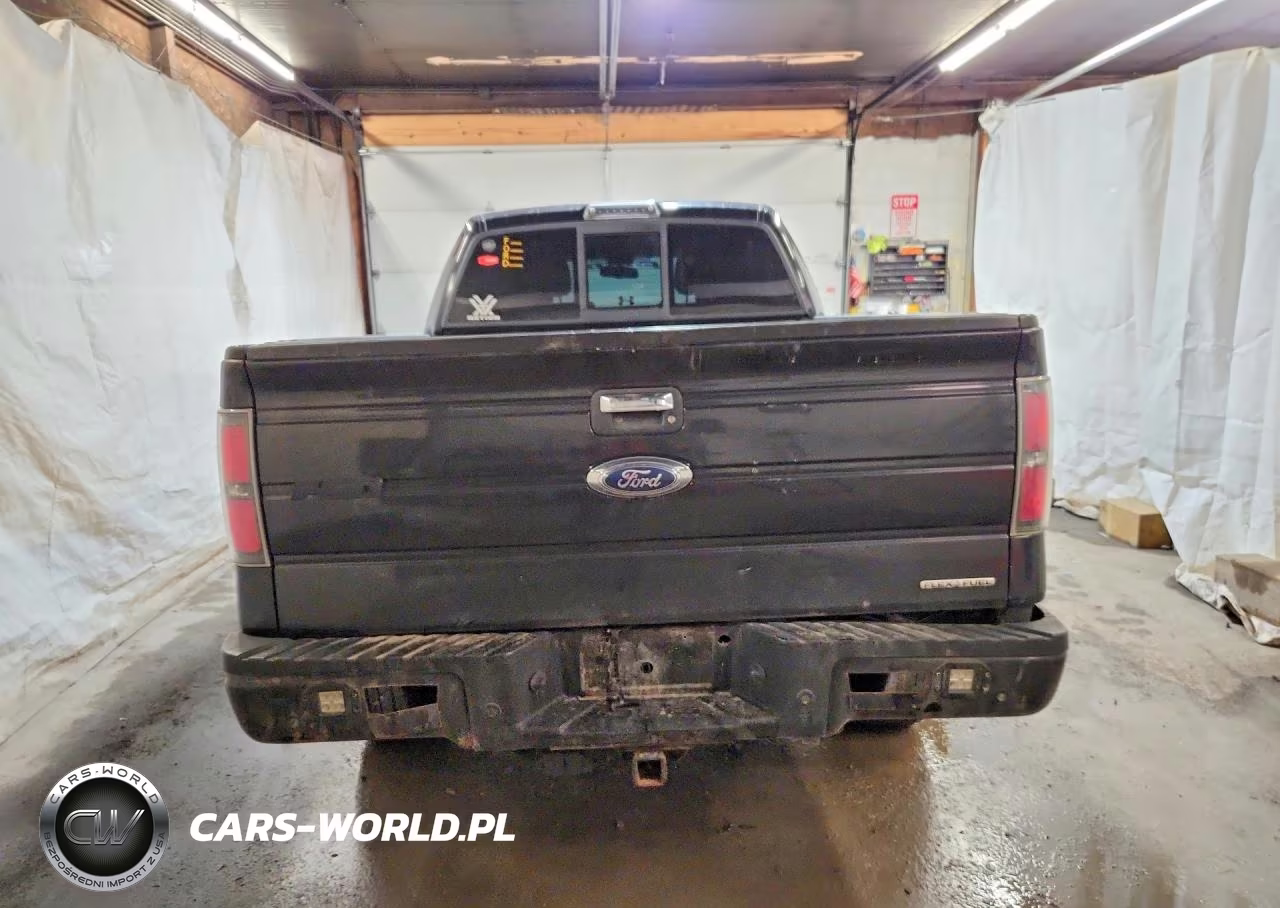 2010 Ford F150 Supercrew VIN:1FTFW1EV3AFB41291 - 6