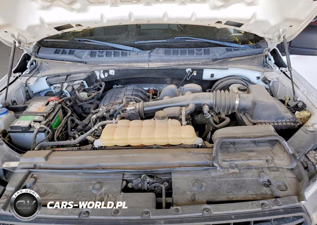 2019 Ford F150 VIN:1FTMF1CB2KKE81055 - 11