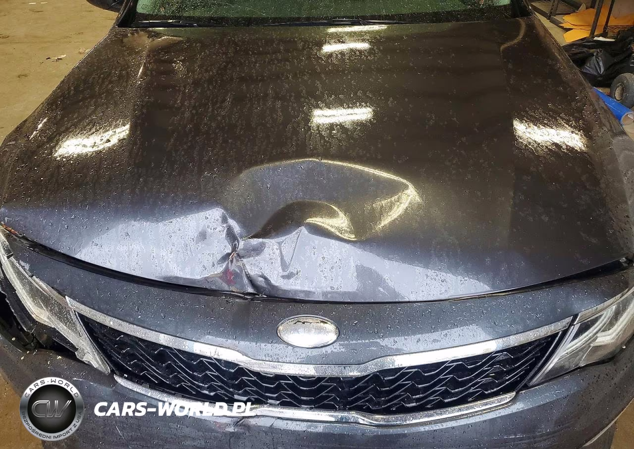 2019 Kia Optima S VIN:5XXGT4L39KG285138 - 11