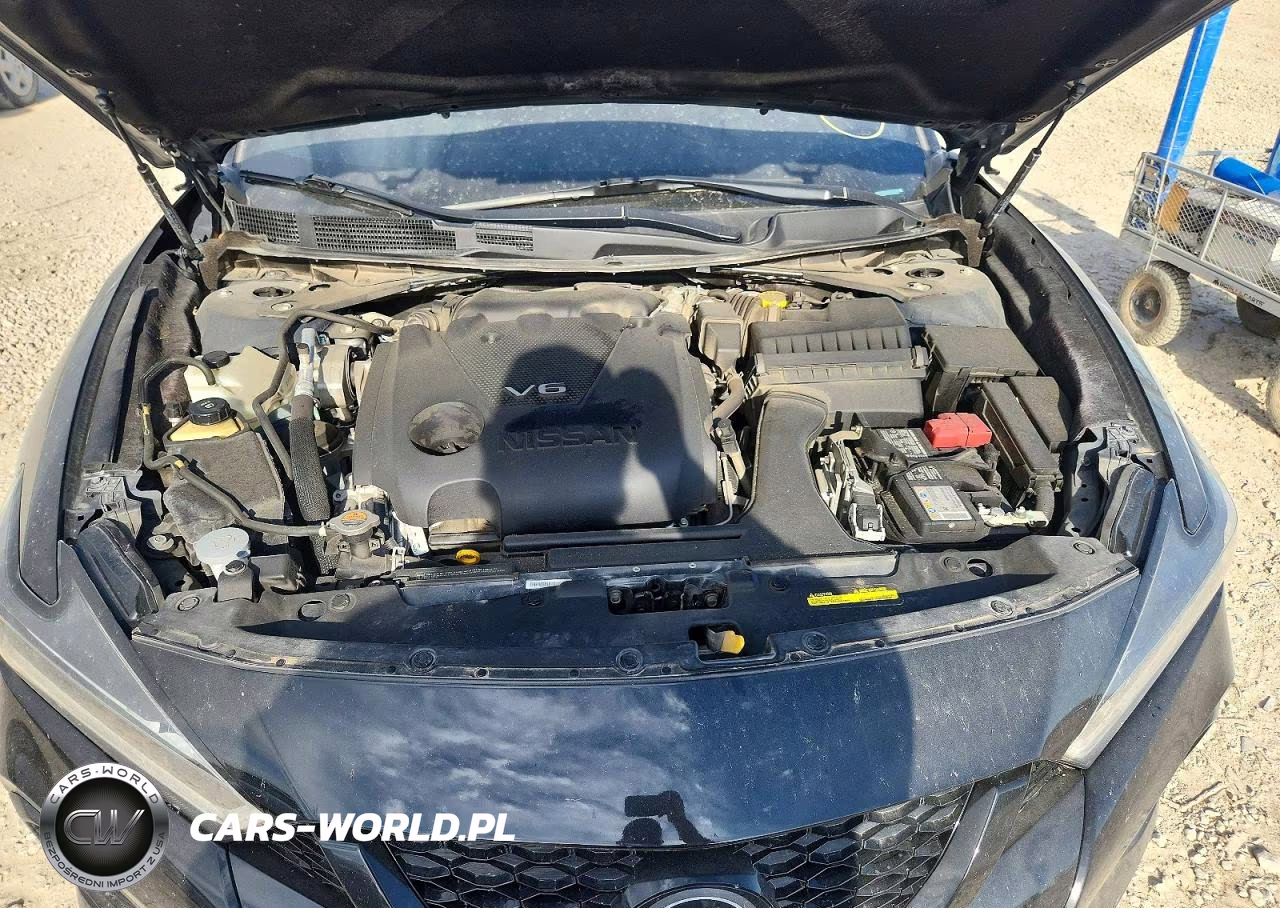 2023 Nissan Maxima Sr VIN:1N4AA6EV1PC504970 - 11