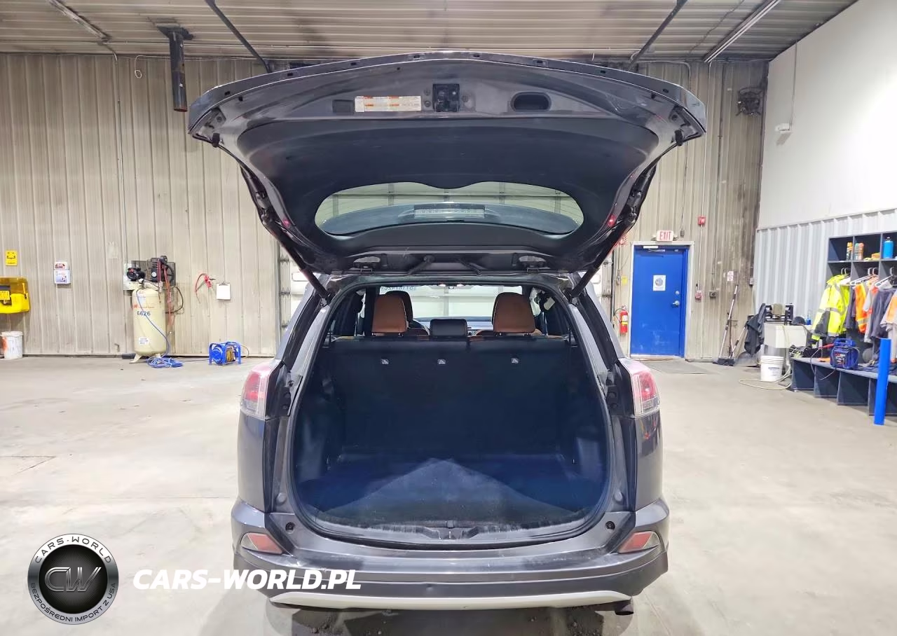 2016 Toyota Rav4 Se VIN:2T3JFREV9GW443149 - 6