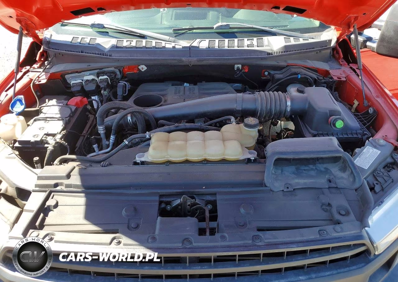 2019 Ford F150 Supercrew VIN:1FTEW1E16KFC88862 - 11