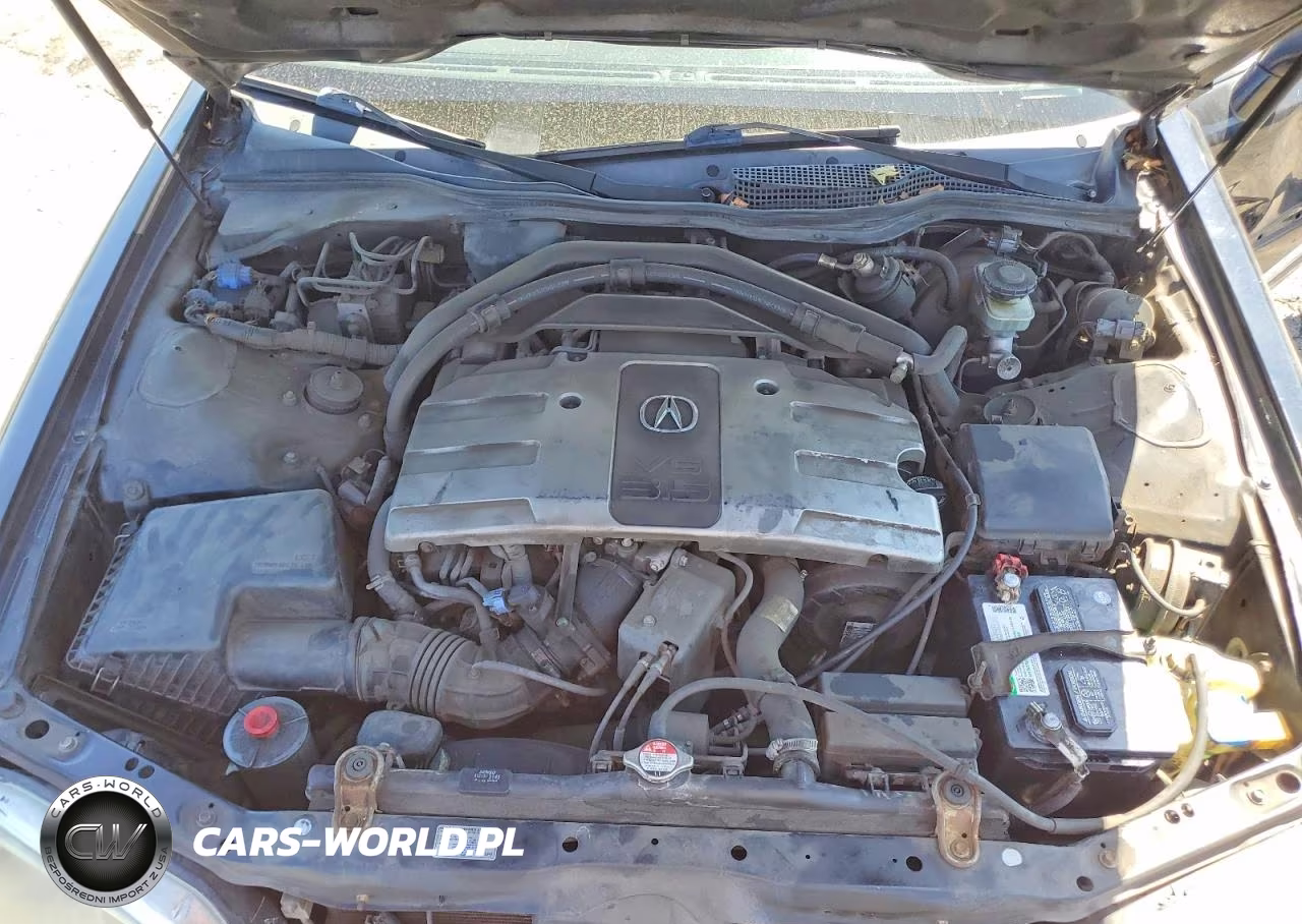 2002 Acura 3.5Rl VIN:JH4KA96592C012306 - 11