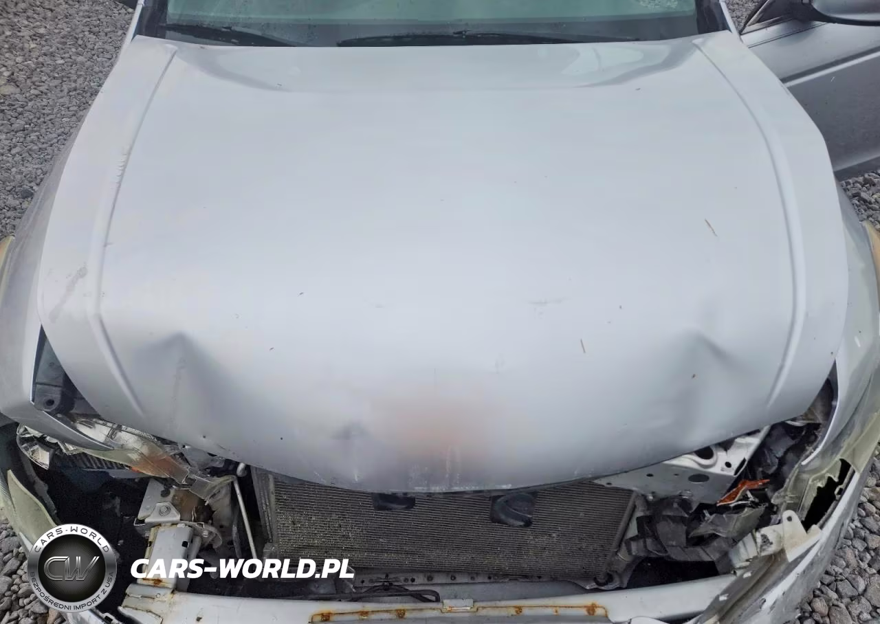 2010 Honda Accord Lx VIN:1HGCP2F39AA061866 - 11