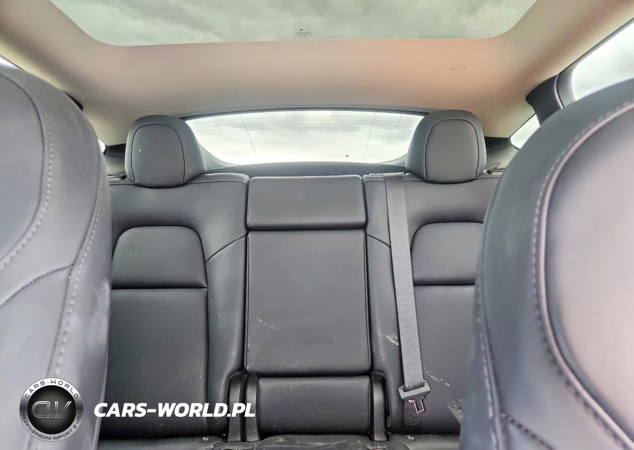 2023 Tesla Model Y VIN:7SAYGDEE6PF923950 - 10