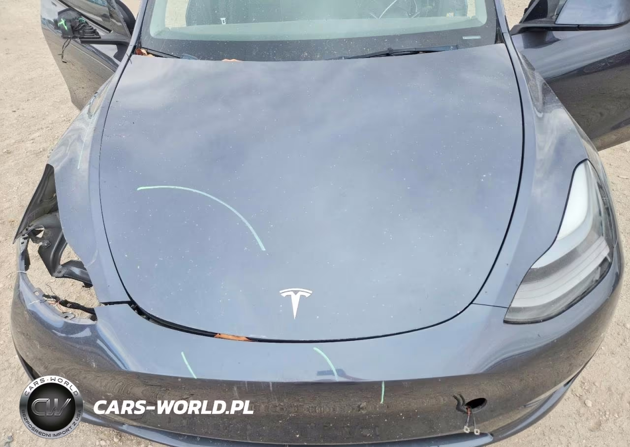 2023 Tesla Model Y VIN:7SAYGDEE6PF923950 - 12