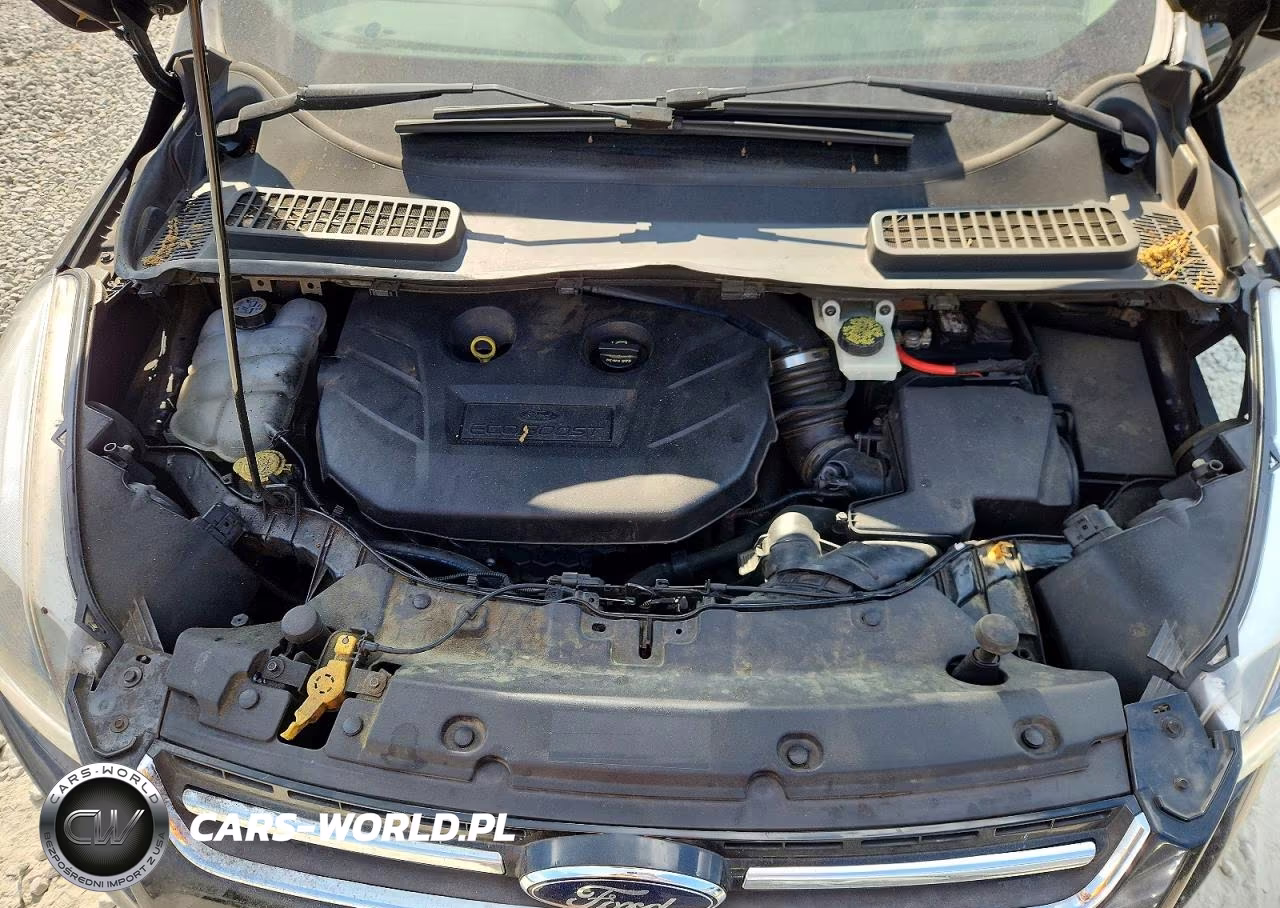 2014 Ford Escape Titanium VIN:1FMCU0J94EUC59049 - 11
