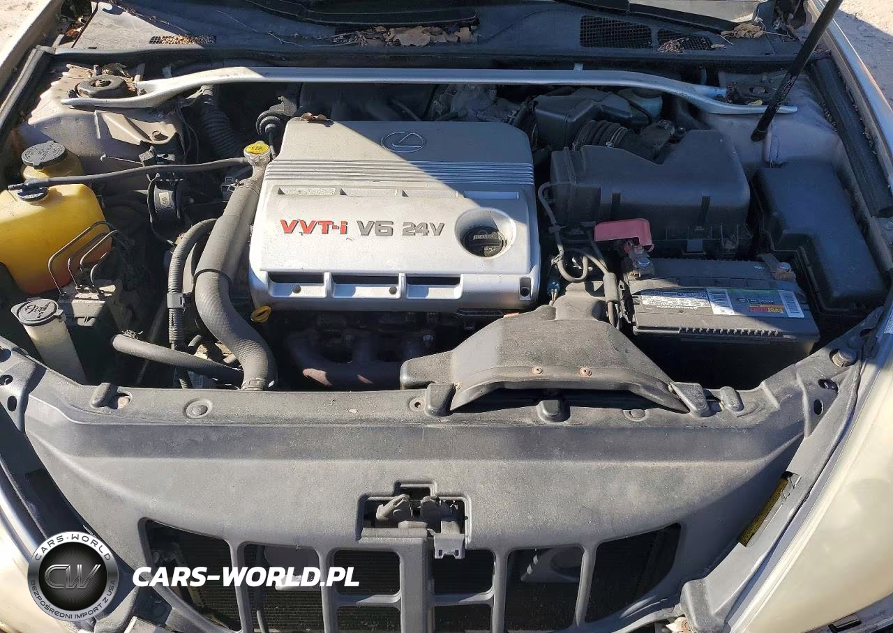 2002 Lexus Es 300 VIN:JTHBF30G225007316 - 11