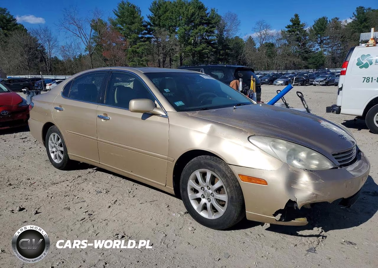 2002 Lexus Es 300 VIN:JTHBF30G225007316 - 4