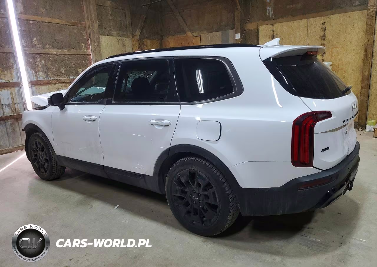 2022 Kia Telluride Ex VIN:5XYP3DHC4NG278834 - 2