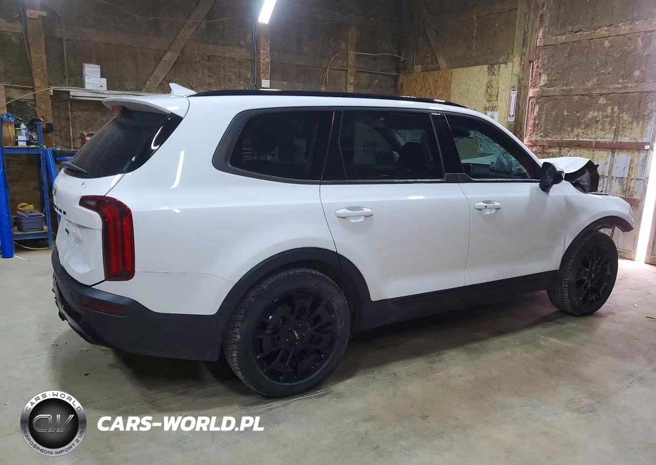 2022 Kia Telluride Ex VIN:5XYP3DHC4NG278834 - 3