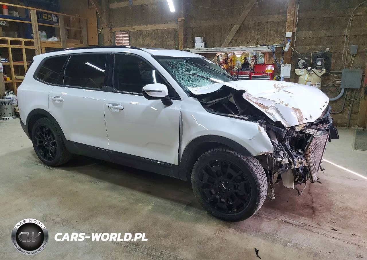 2022 Kia Telluride Ex VIN:5XYP3DHC4NG278834 - 4