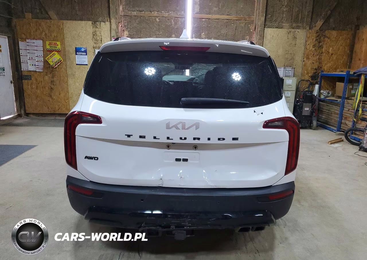 2022 Kia Telluride Ex VIN:5XYP3DHC4NG278834 - 6