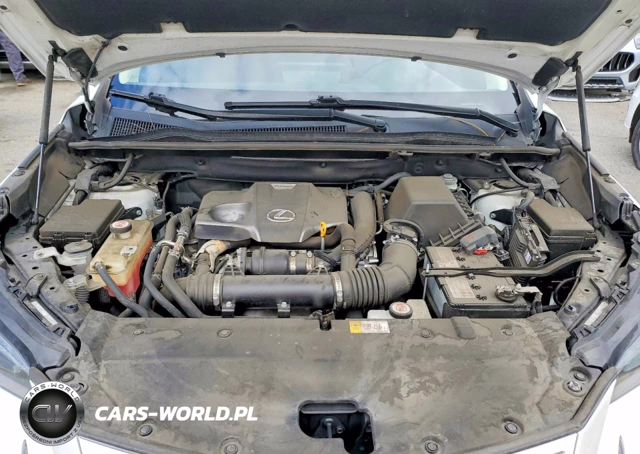 2018 Lexus Nx 300 Base VIN:JTJYARBZ6J2106746 - 11