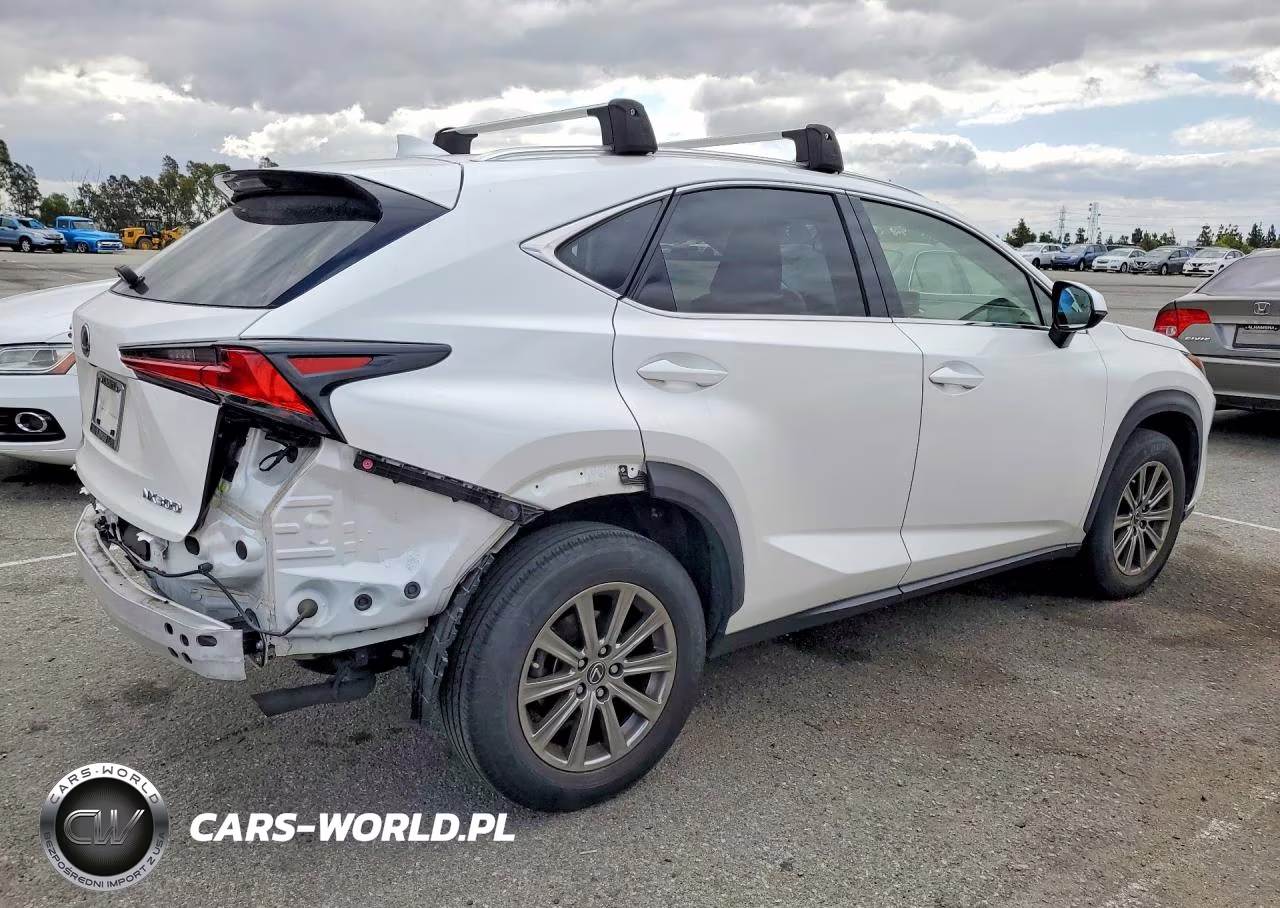 2018 Lexus Nx 300 Base VIN:JTJYARBZ6J2106746 - 3