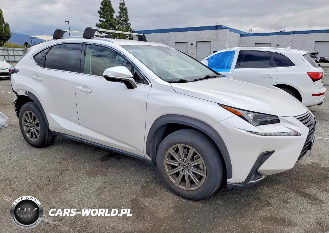 2018 Lexus Nx 300 Base VIN:JTJYARBZ6J2106746 - 4