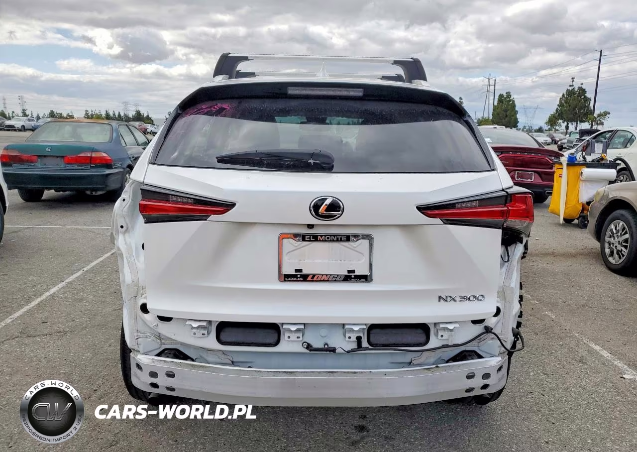 2018 Lexus Nx 300 Base VIN:JTJYARBZ6J2106746 - 6