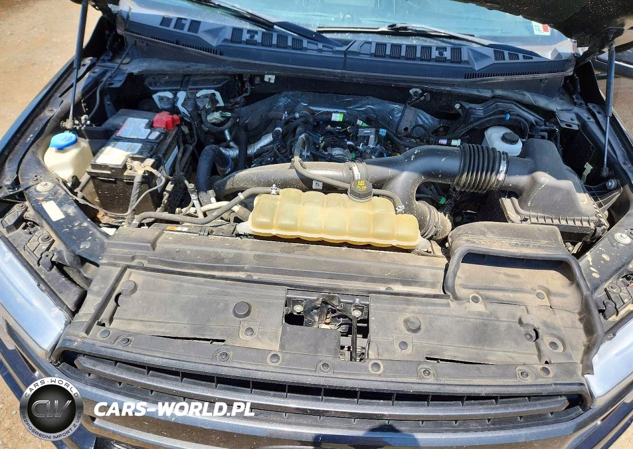 2019 Ford F150 Supercrew VIN:1FTEW1EP8KFC44737 - 11