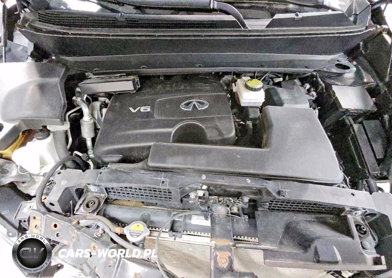 2020 Infiniti Qx60 Pure VIN:5N1DL0MM8LC530642 - 12