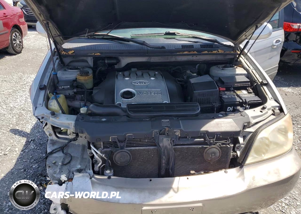 2005 Kia Sedona Lx VIN:KNDUP132056703845 - 12