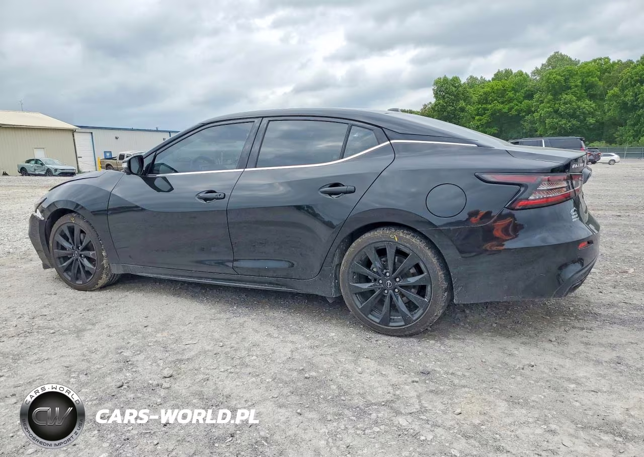 2023 Nissan Maxima Sr VIN:1N4AA6EV1PC512213 - 2