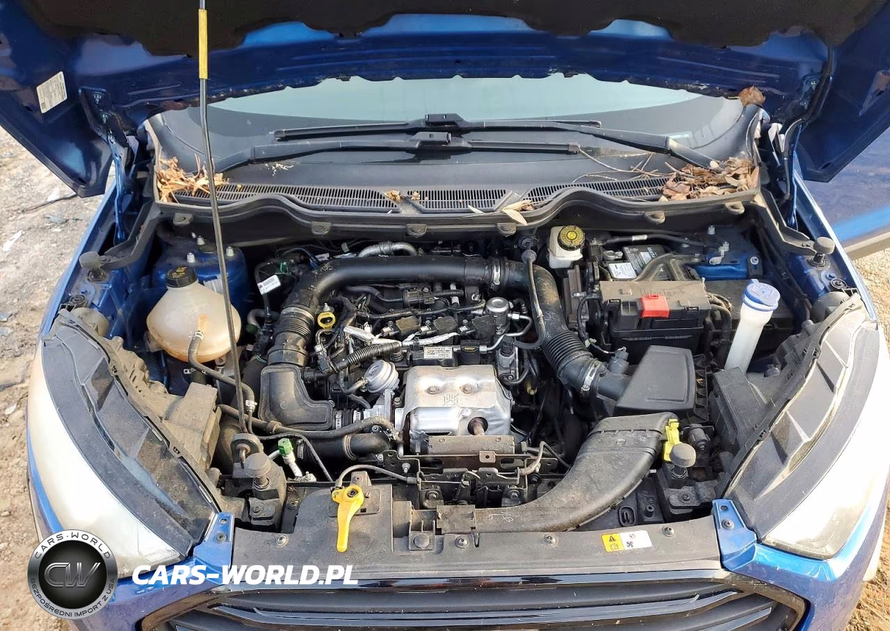 2018 Ford Ecosport S VIN:MAJ3P1RE3JC202124 - 11