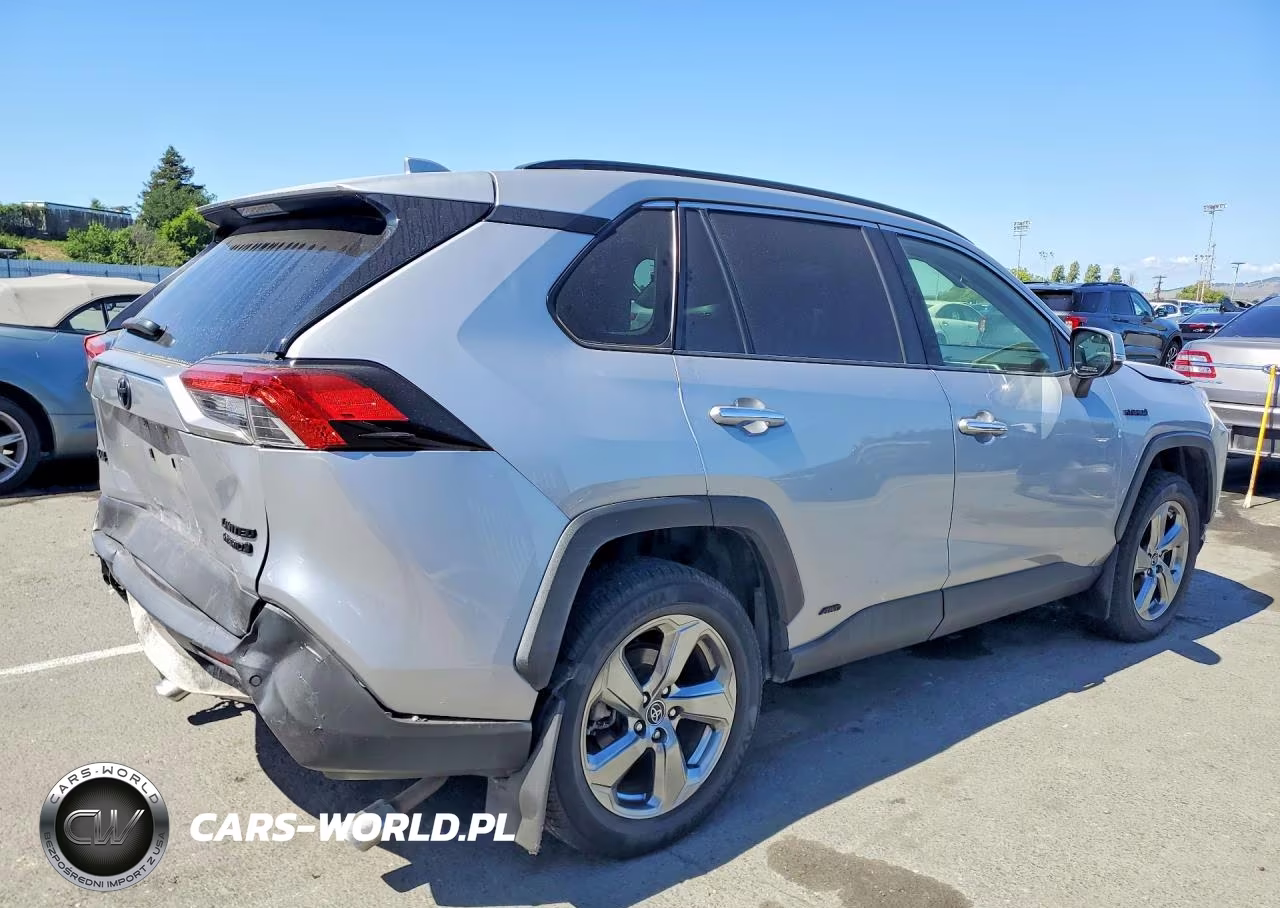 2019 Toyota Rav4 Limited VIN:JTMDWRFV9KD500466 - 3