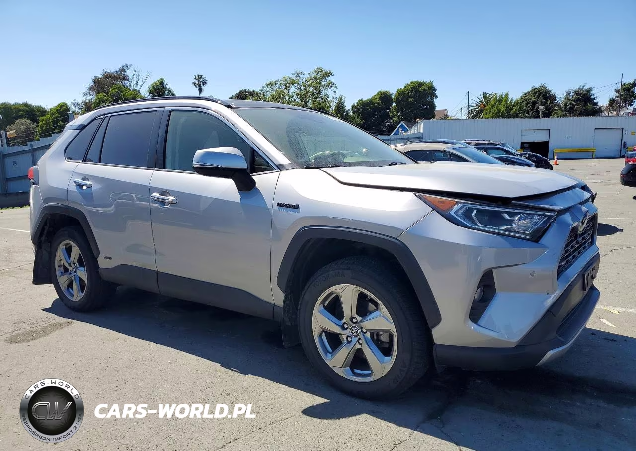2019 Toyota Rav4 Limited VIN:JTMDWRFV9KD500466 - 4