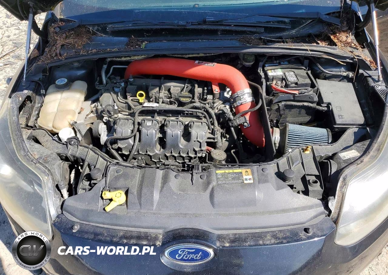 2013 Ford Focus St VIN:1FADP3L92DL217679 - 11
