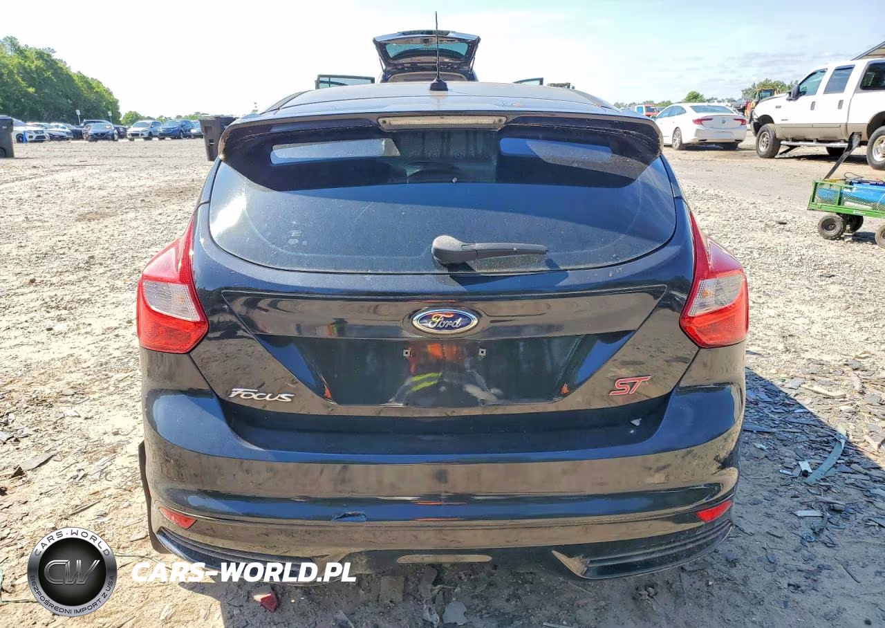 2013 Ford Focus St VIN:1FADP3L92DL217679 - 6