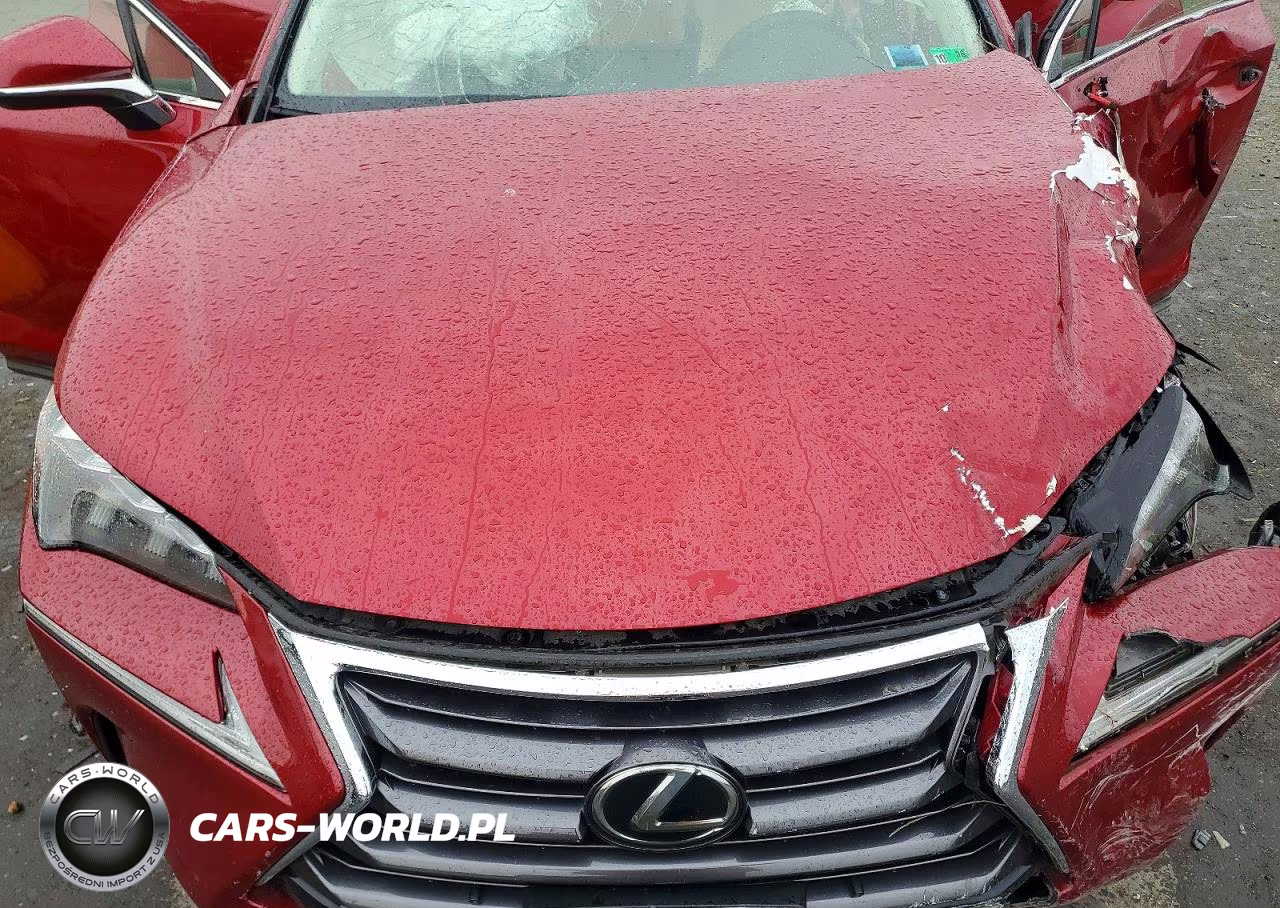2015 Lexus Nx 200T VIN:JTJBARBZ4F2004083 - 12