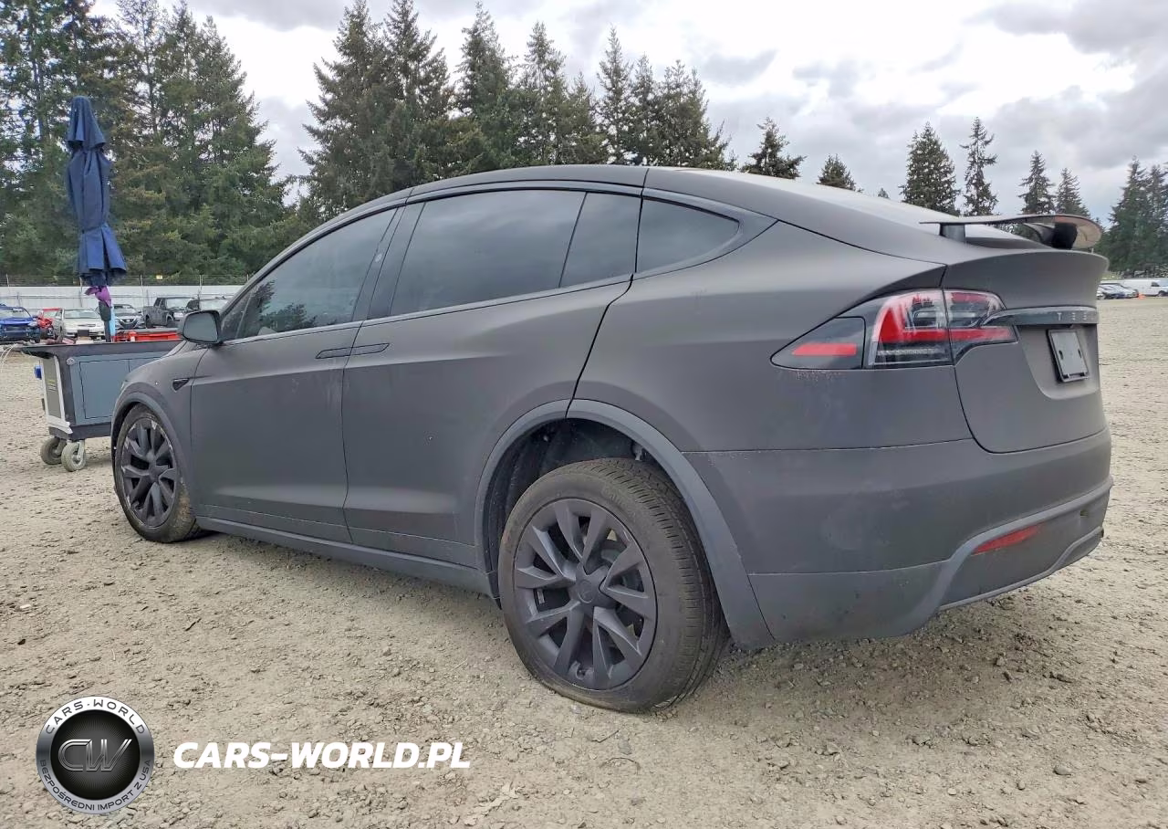 2025 Tesla Model X VIN:7SAXCDE55SF469965 - 2
