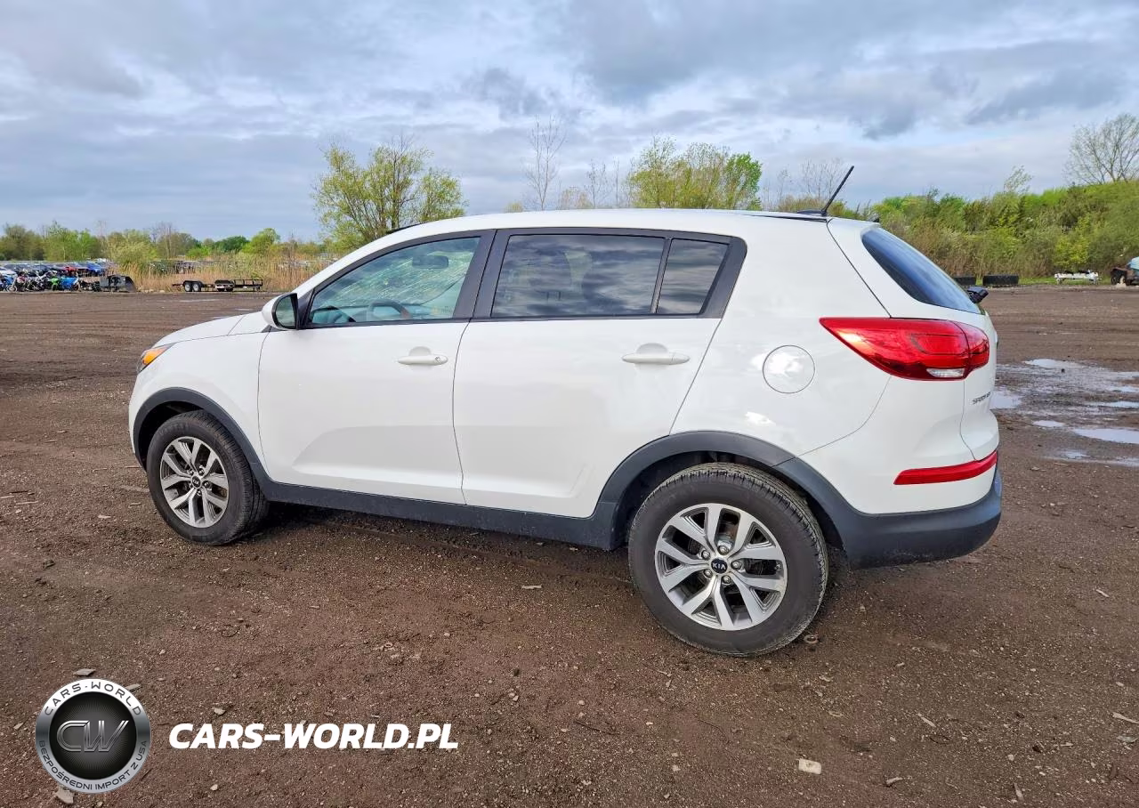 2016 Kia Sportage Lx VIN:KNDPB3AC5G7804296 - 2