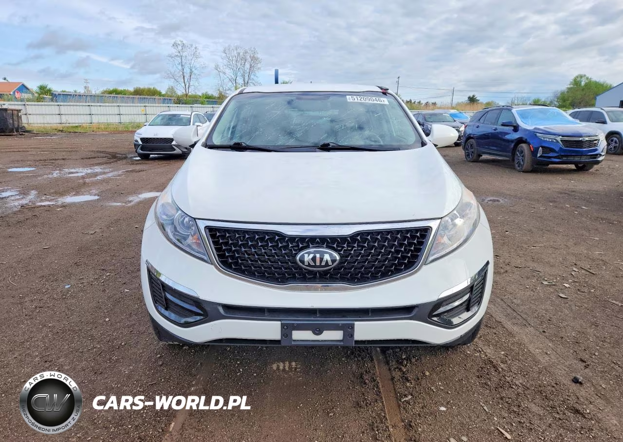 2016 Kia Sportage Lx VIN:KNDPB3AC5G7804296 - 5