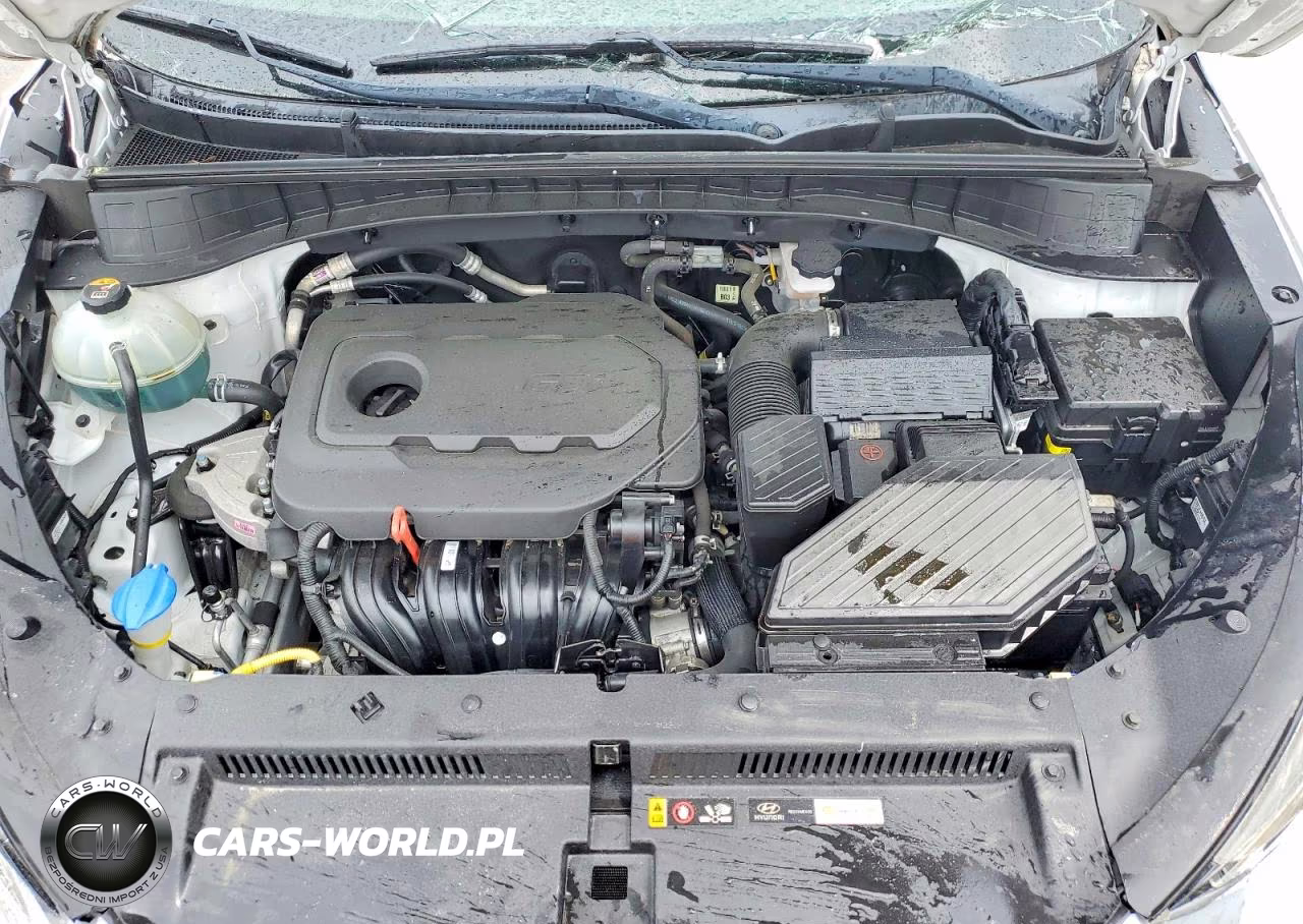 2019 Hyundai Tucson Sel VIN:KM8J33AL8KU060332 - 12