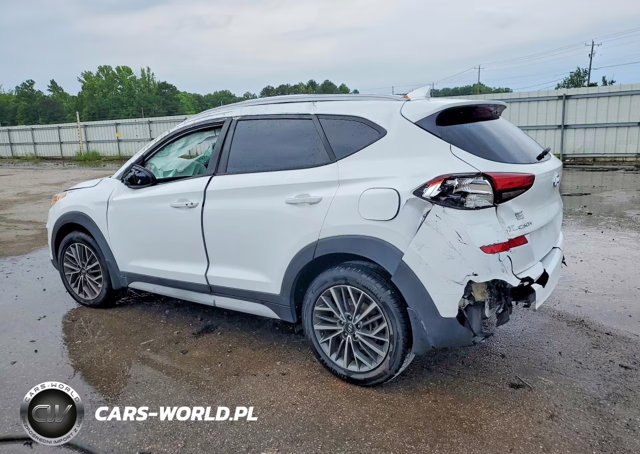 2019 Hyundai Tucson Sel VIN:KM8J33AL8KU060332 - 2