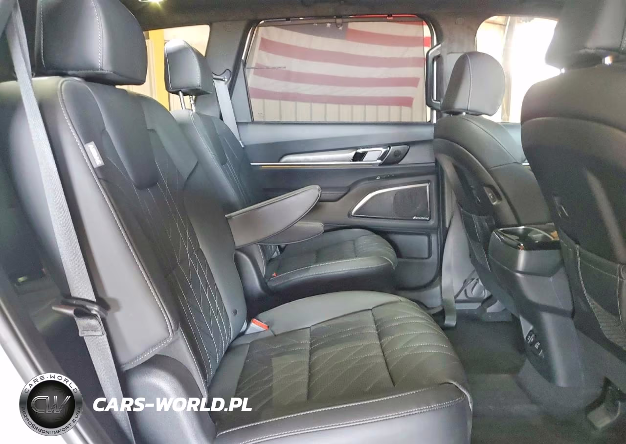 2025 Kia Telluride Sx-Prestige X-Line VIN:5XYP5DGC7SG713448 - 11