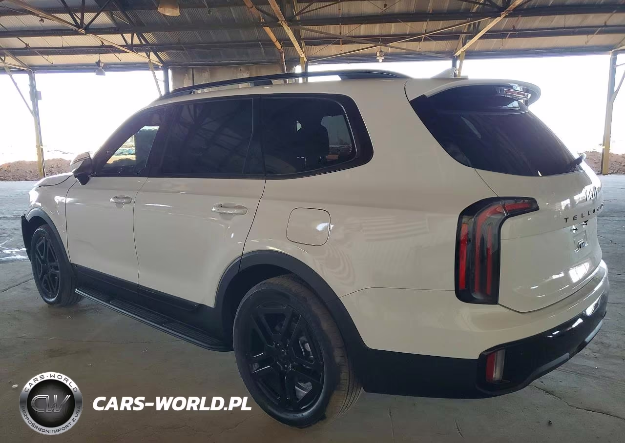 2025 Kia Telluride Sx-Prestige X-Line VIN:5XYP5DGC7SG713448 - 2