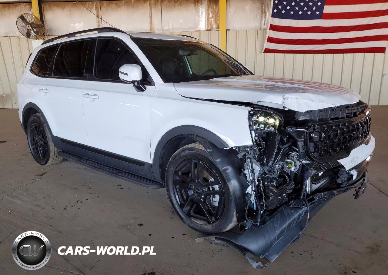 2025 Kia Telluride Sx-Prestige X-Line VIN:5XYP5DGC7SG713448 - 4