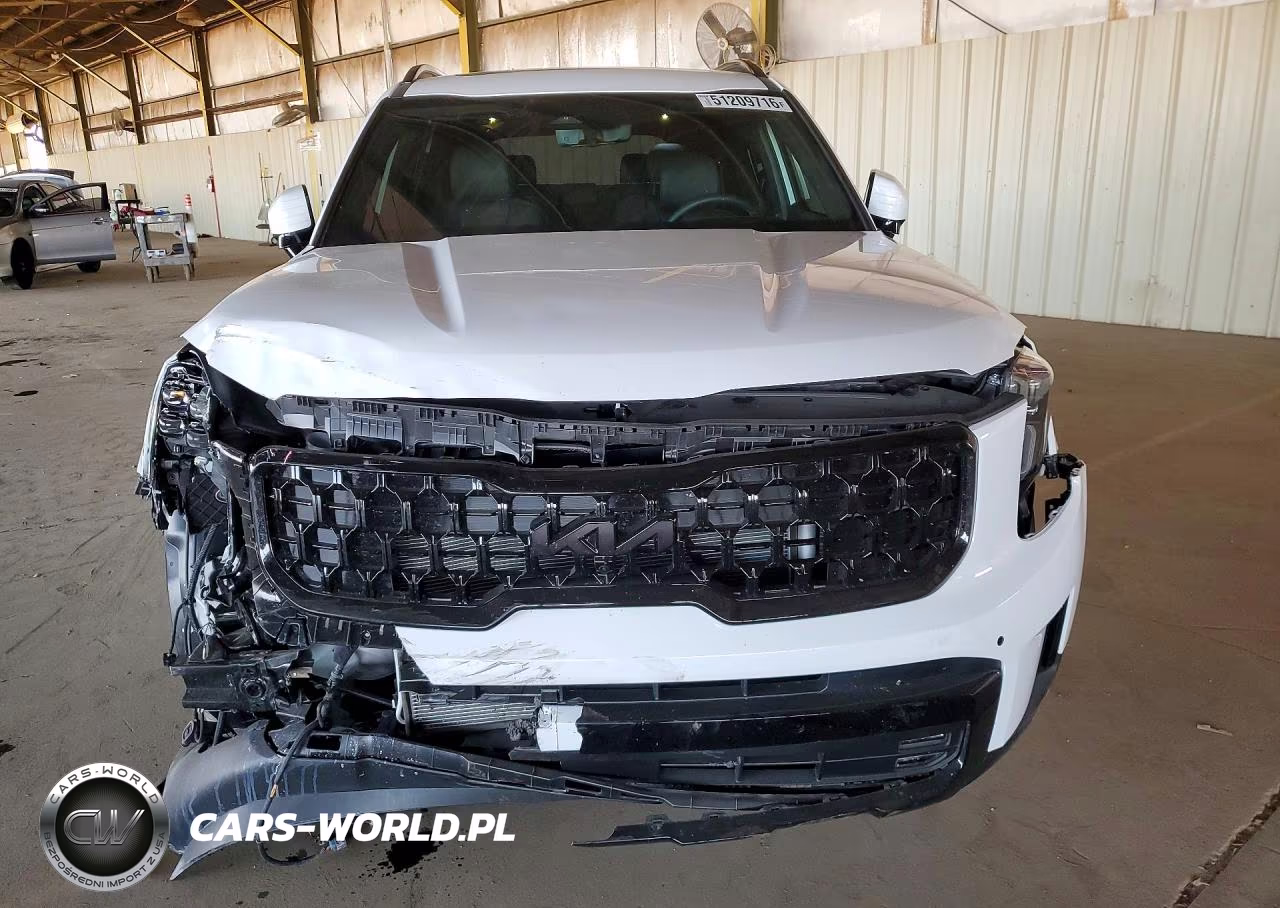 2025 Kia Telluride Sx-Prestige X-Line VIN:5XYP5DGC7SG713448 - 5